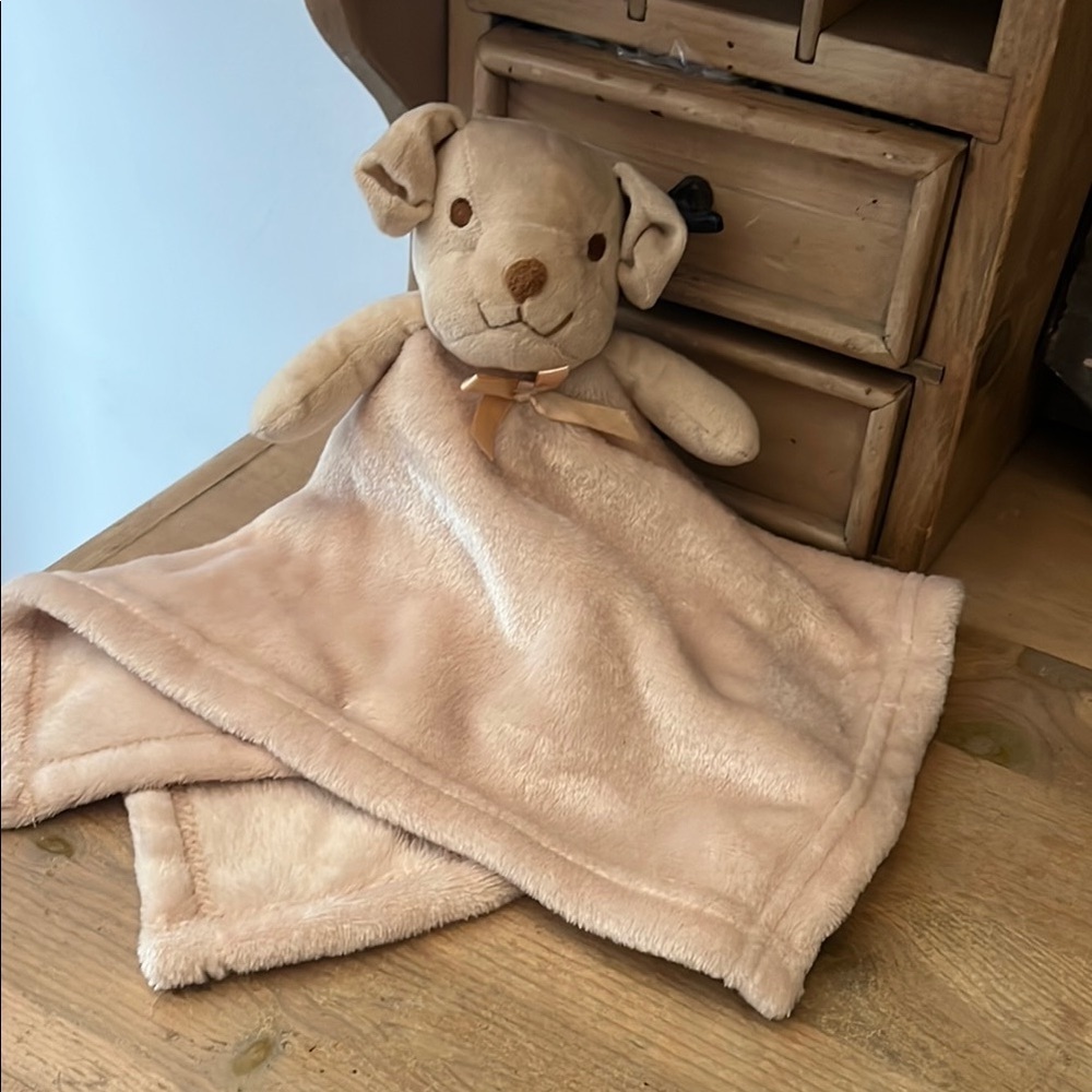 Pro Goleem Puppy Dog Lovey Security Blanket Baby